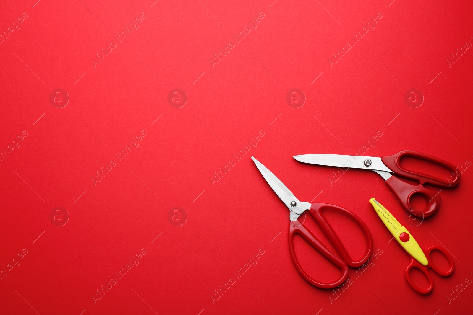 Photo of Set of different scissors on color background, flat lay. Space for text