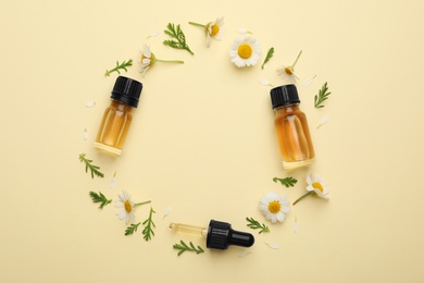 Flat lay composition with chamomile flowers and cosmetic bottles of essential oil on color background. Space for text