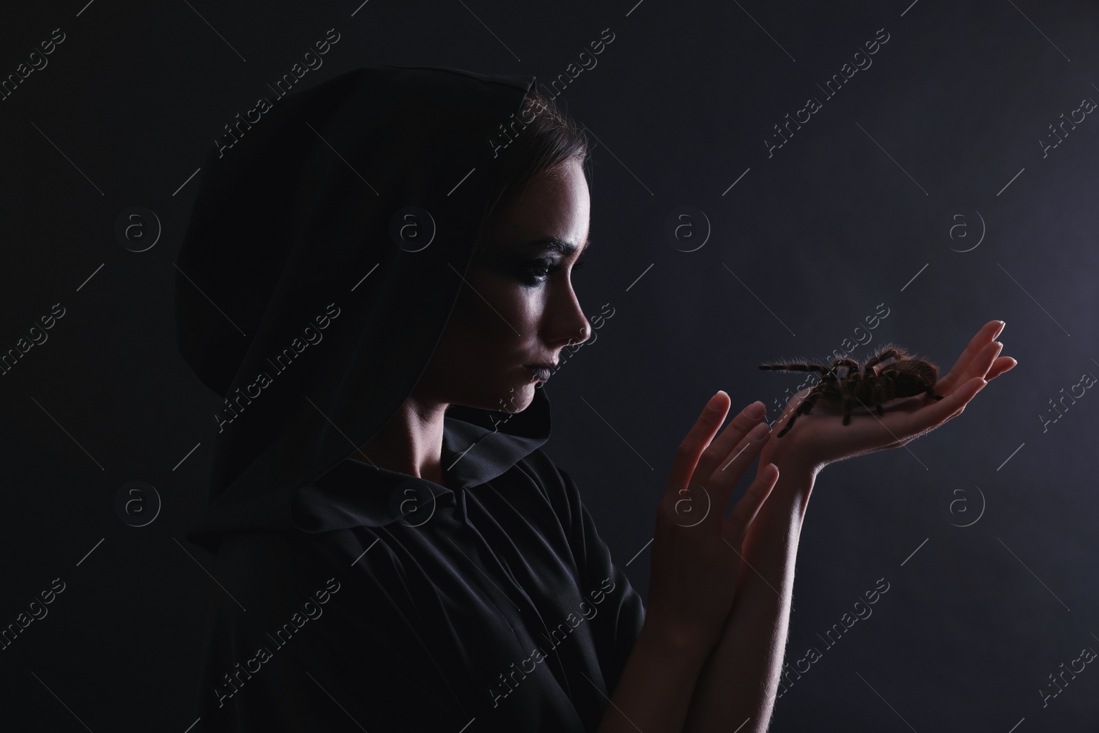 Photo of Mysterious witch with spooky spider on black background