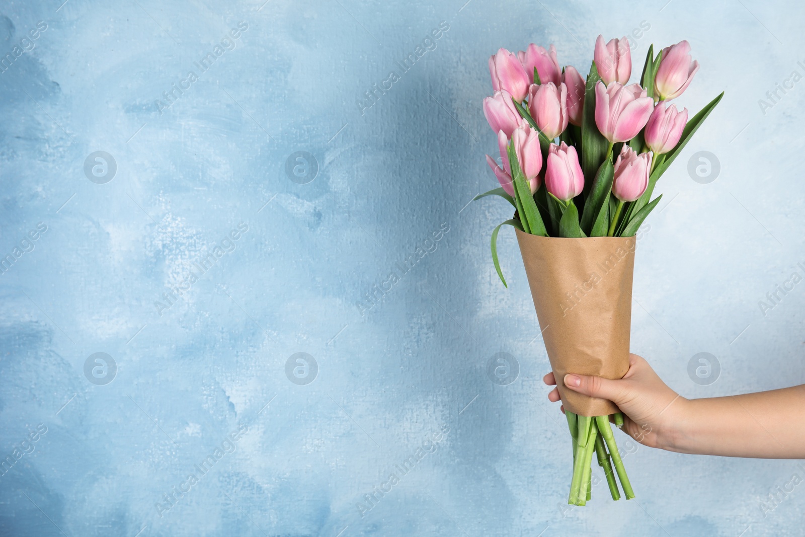 Photo of Woman with beautiful pink spring tulips on light blue background, closeup. Space for text