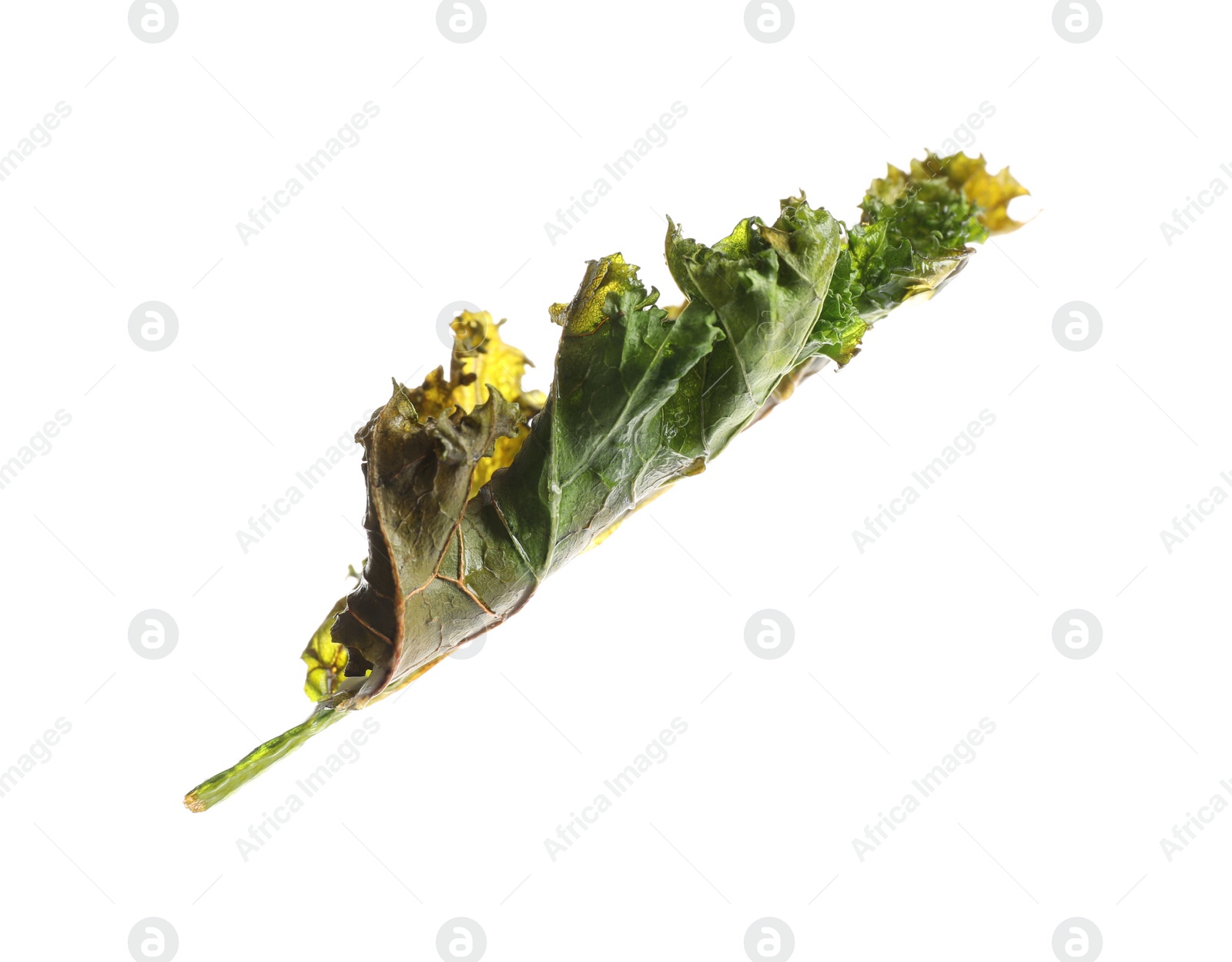 Photo of Tasty baked kale chip isolated on white