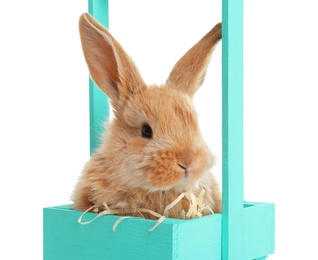 Photo of Adorable furry Easter bunny in decorative basket on white background