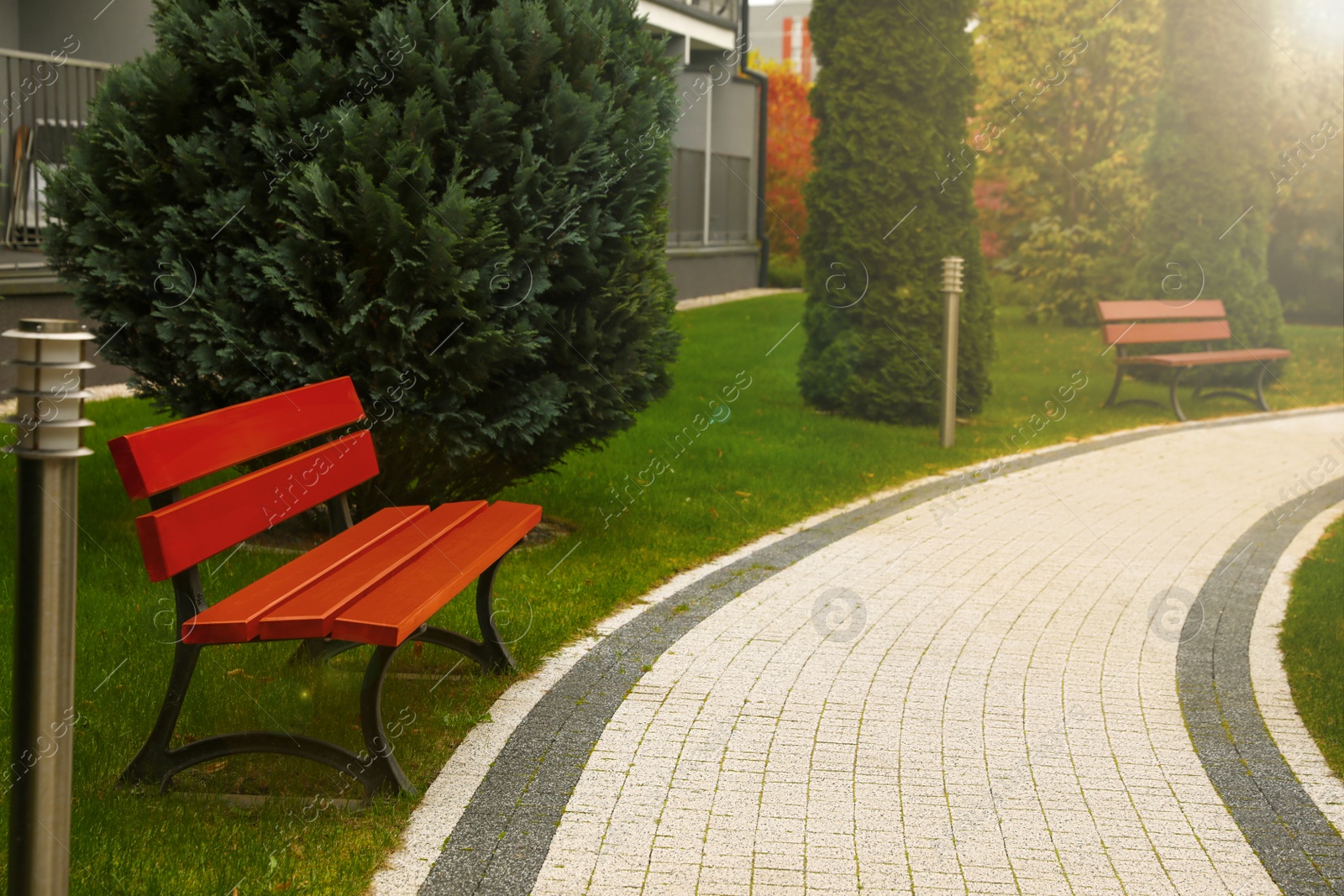 Photo of Winding pathway with beautiful bushes and benches in park