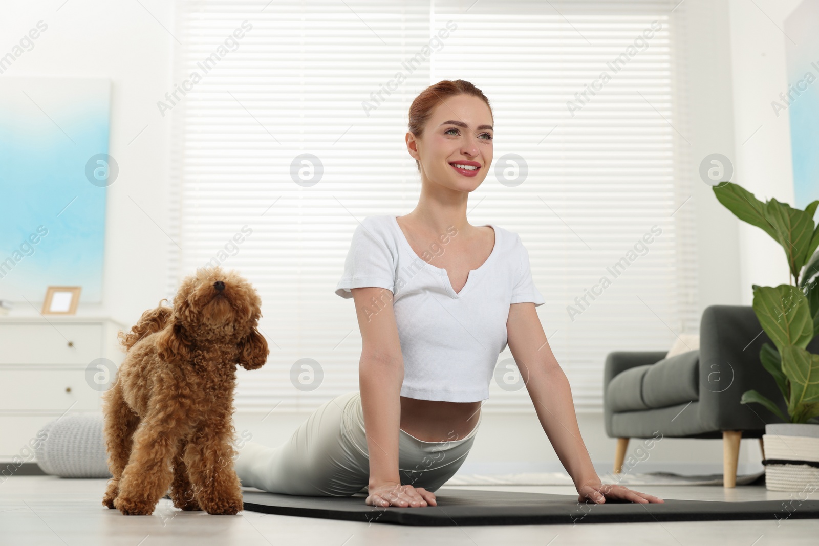 Photo of Happy young woman practicing yoga on mat with her cute dog at home