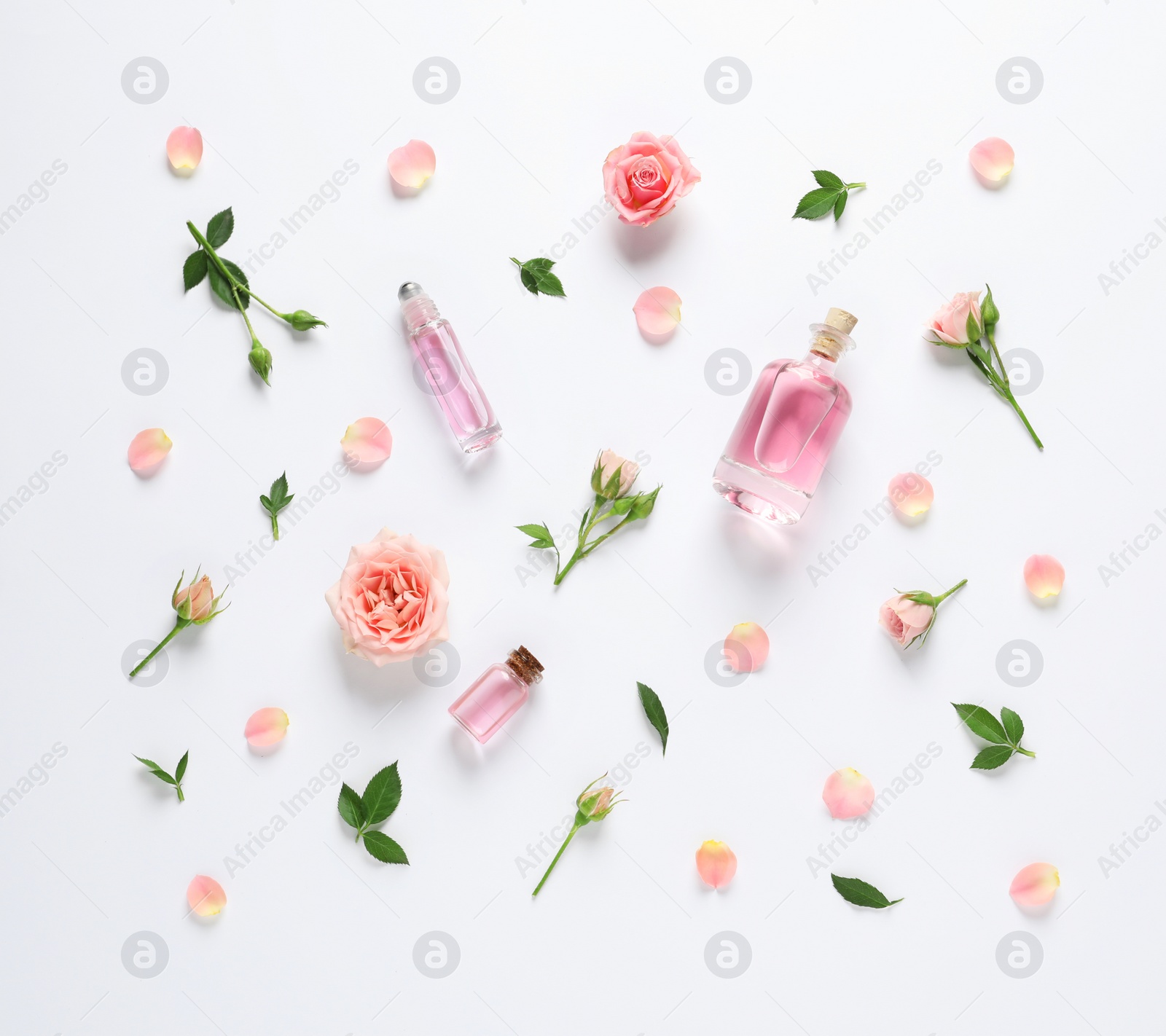 Photo of Composition with rose essential oil and flowers on white background, top view