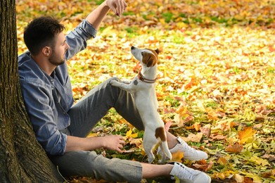 Photo of Man with adorable Jack Russell Terrier in autumn park, space for text. Dog walking