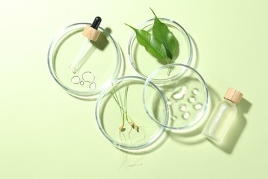 Flat lay composition with Petri dishes and plants on pale light green background