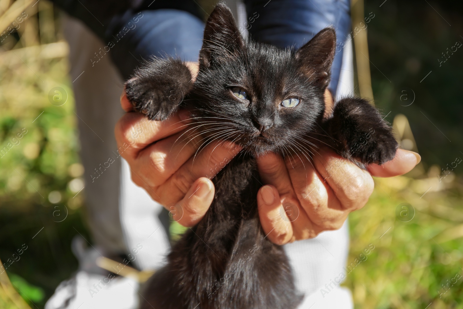 Photo of Woman with stray cat outdoors, closeup. Homeless animal