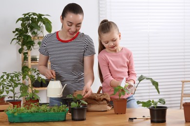 Photo of Mother and daughter taking care of seedlings in pots together at wooden table in room