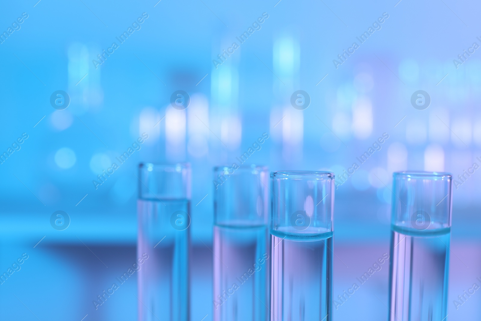 Photo of Many glass test tubes on light blue background, closeup