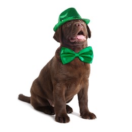 Image of St. Patrick's day celebration. Cute Chocolate Labrador puppy with green hat and bow tie isolated on white
