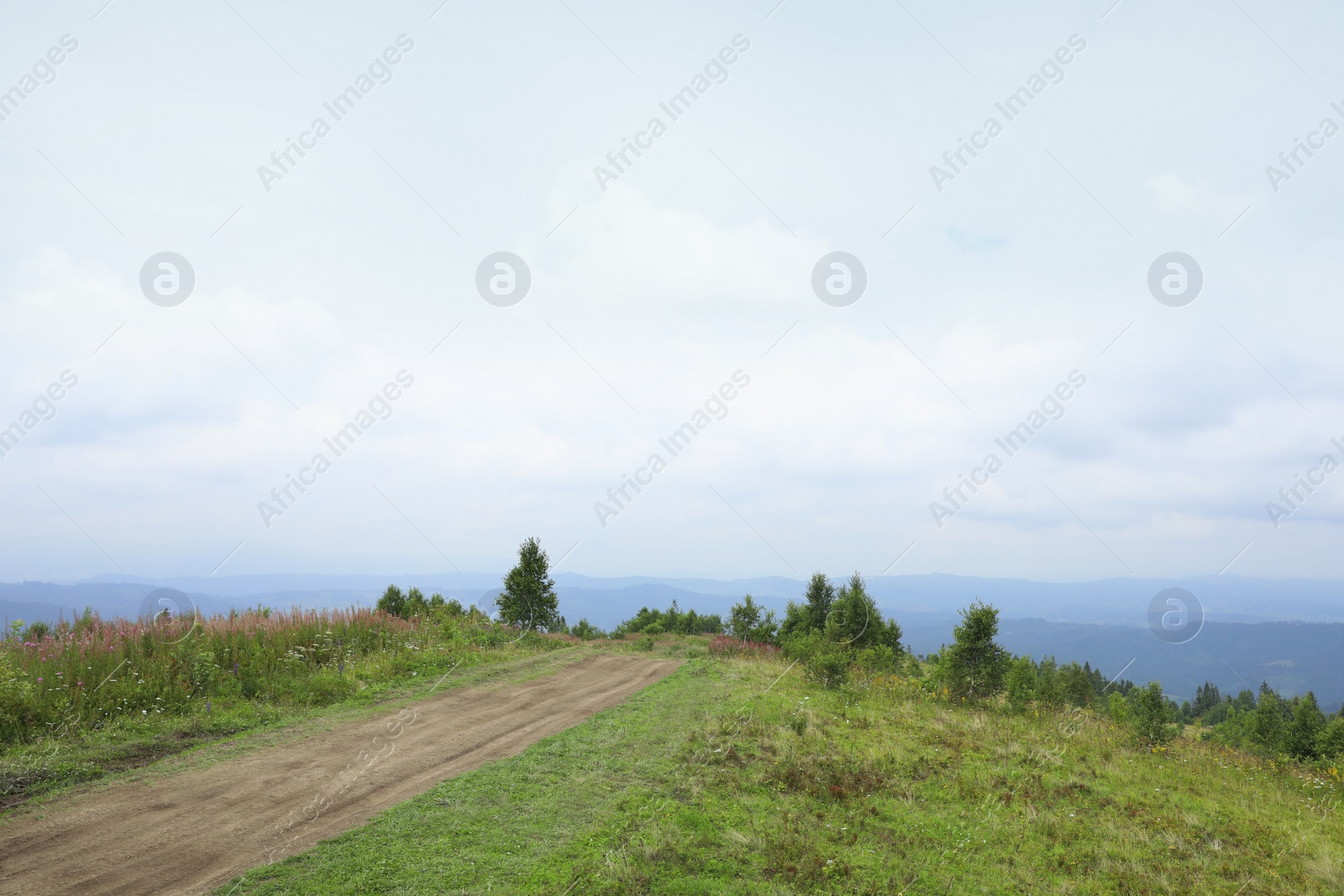 Photo of Picturesque landscape with pathway in mountains