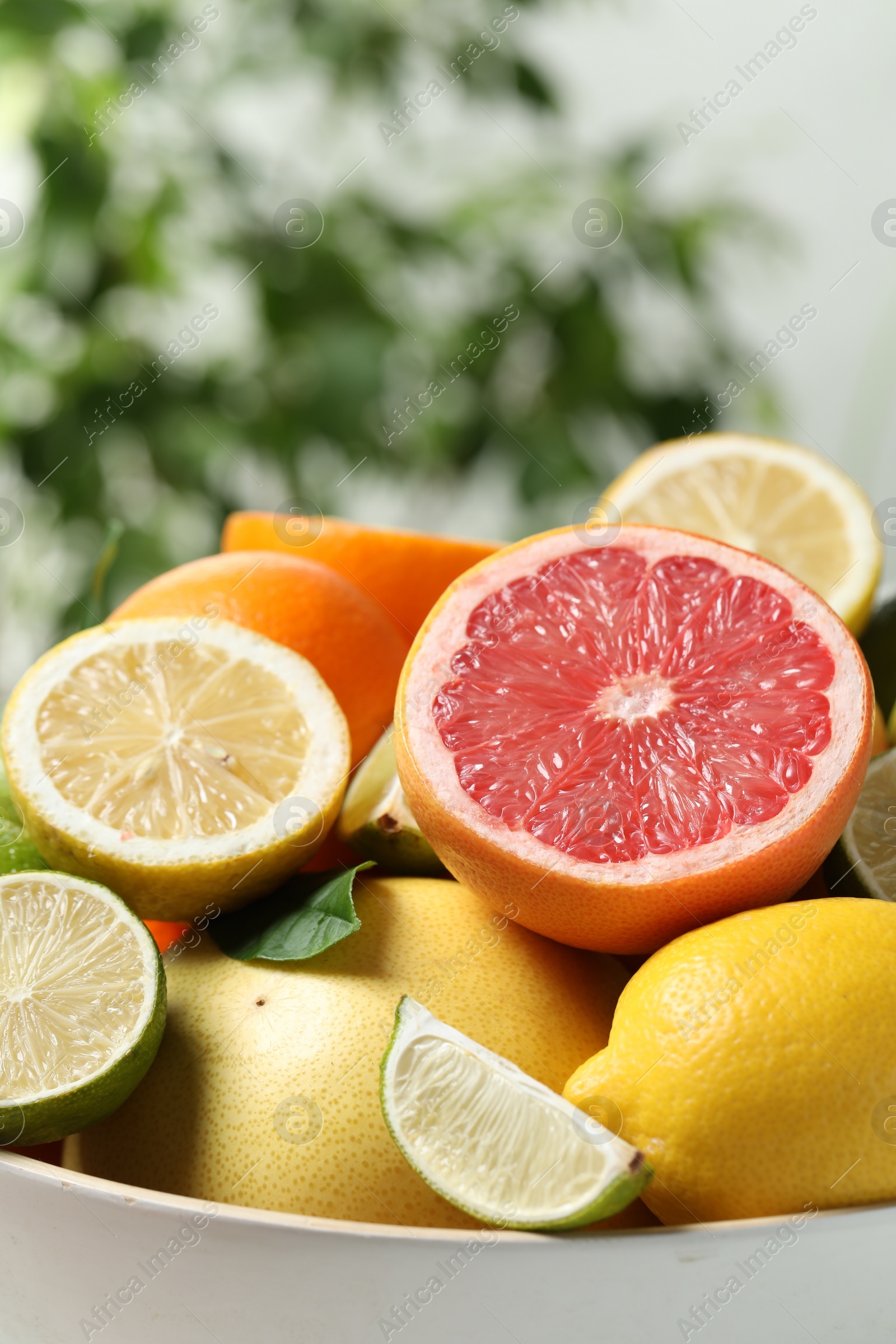 Photo of Different fresh citrus fruits and leaves in bowl against blurred background, closeup