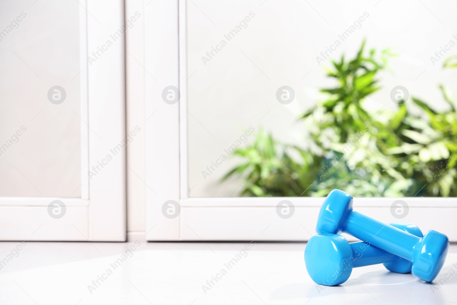 Photo of Vinyl dumbbells on windowsill, space for text