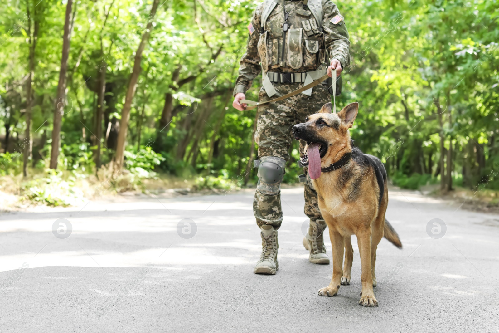 Photo of Man in military uniform with German shepherd dog outdoors