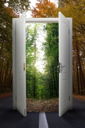 Beautiful forest visible through open door amidst road