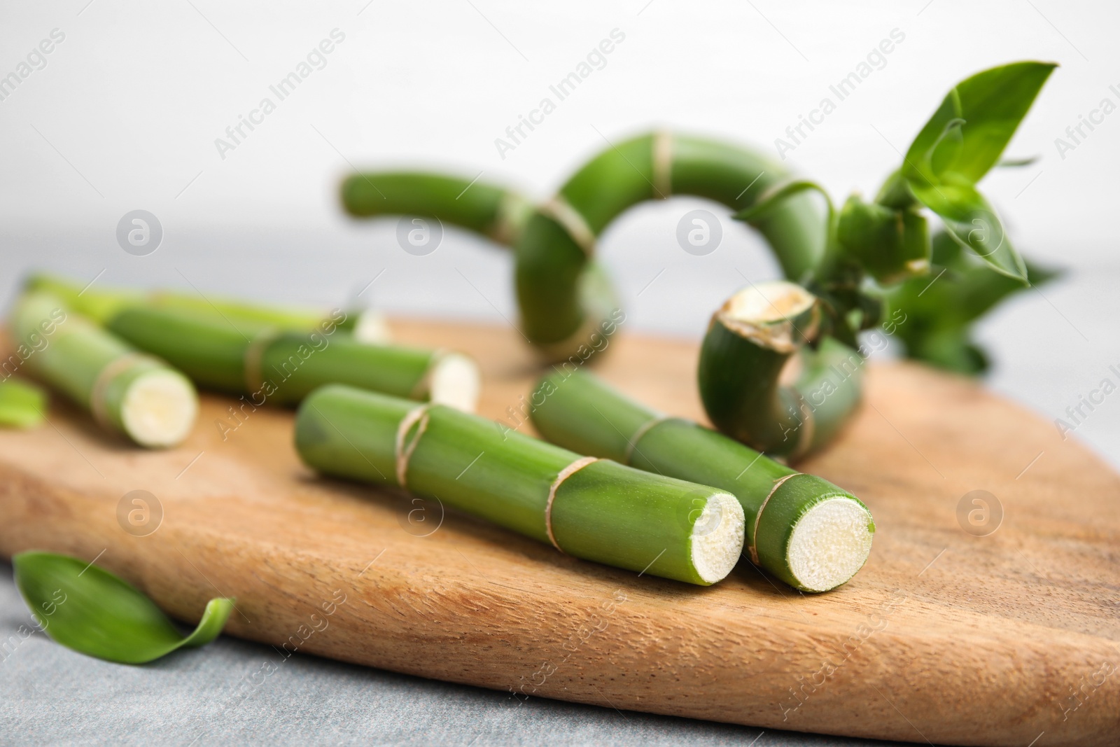 Photo of Pieces of beautiful green bamboo stems on wooden board, closeup