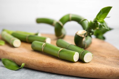 Pieces of beautiful green bamboo stems on wooden board, closeup