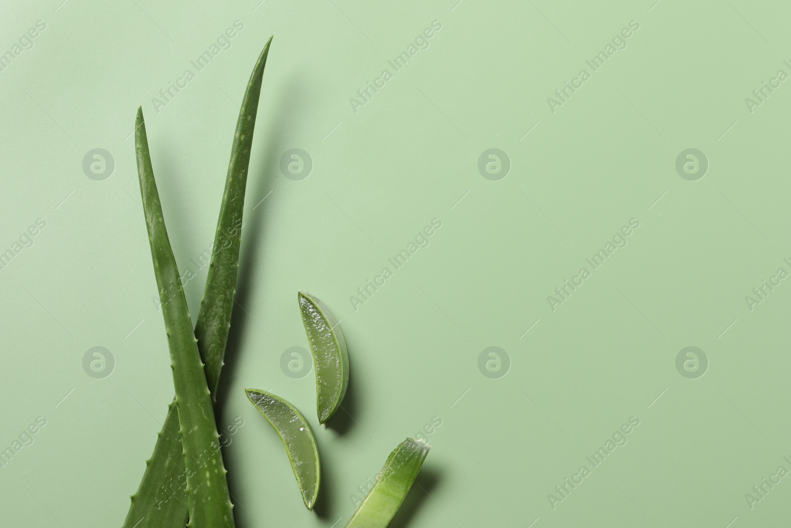 Photo of Cut aloe vera leaves on light green background, flat lay. Space for text