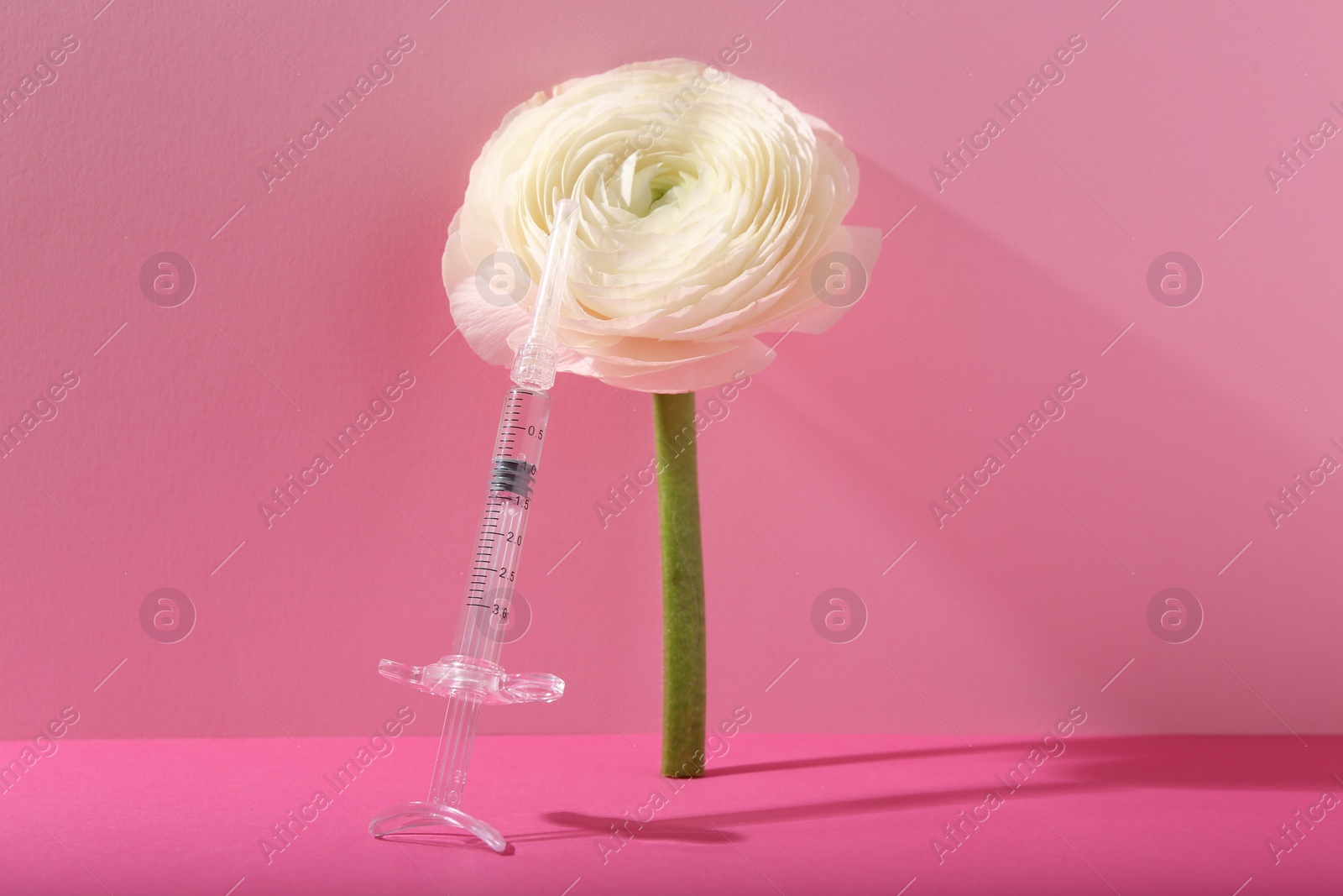 Photo of Cosmetology. Medical syringe and ranunculus flower on pink background