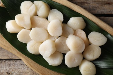 Fresh raw scallops on wooden table, top view