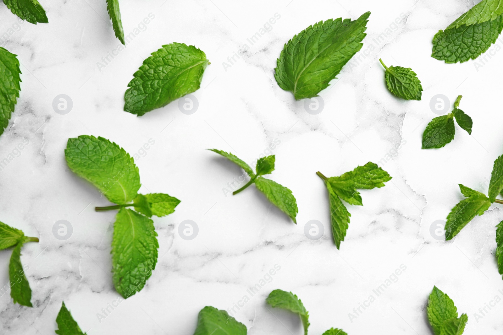 Photo of Fresh mint leaves on white marble background, flat lay