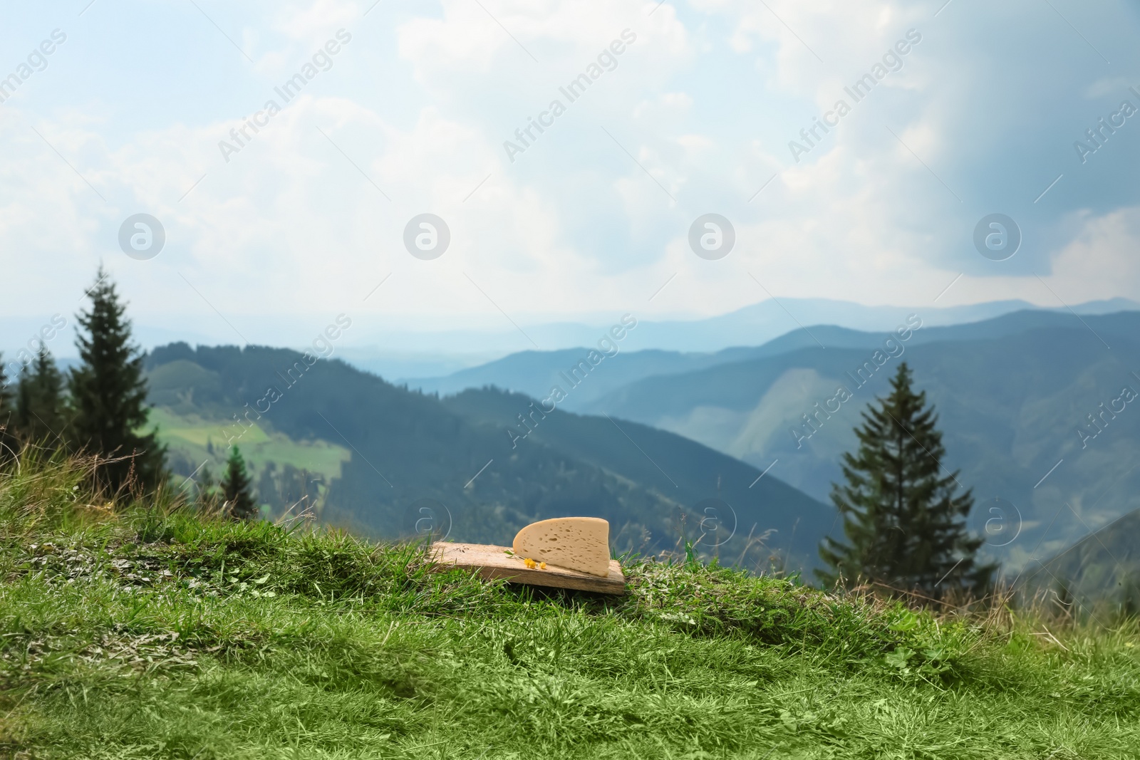 Photo of Wooden board with delicious cheese on grass in mountains