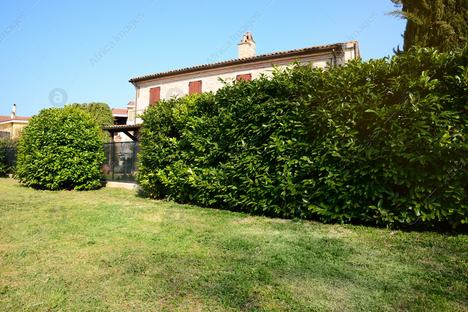 Photo of Beautiful house surrounded by green shrubbery on sunny day