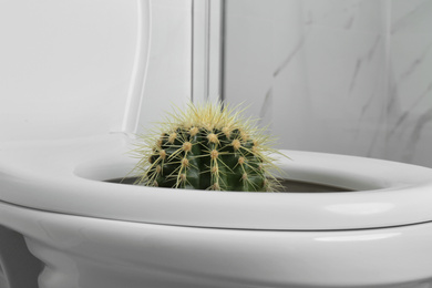 Photo of Toilet bowl with cactus near marble wall, closeup. Hemorrhoids concept