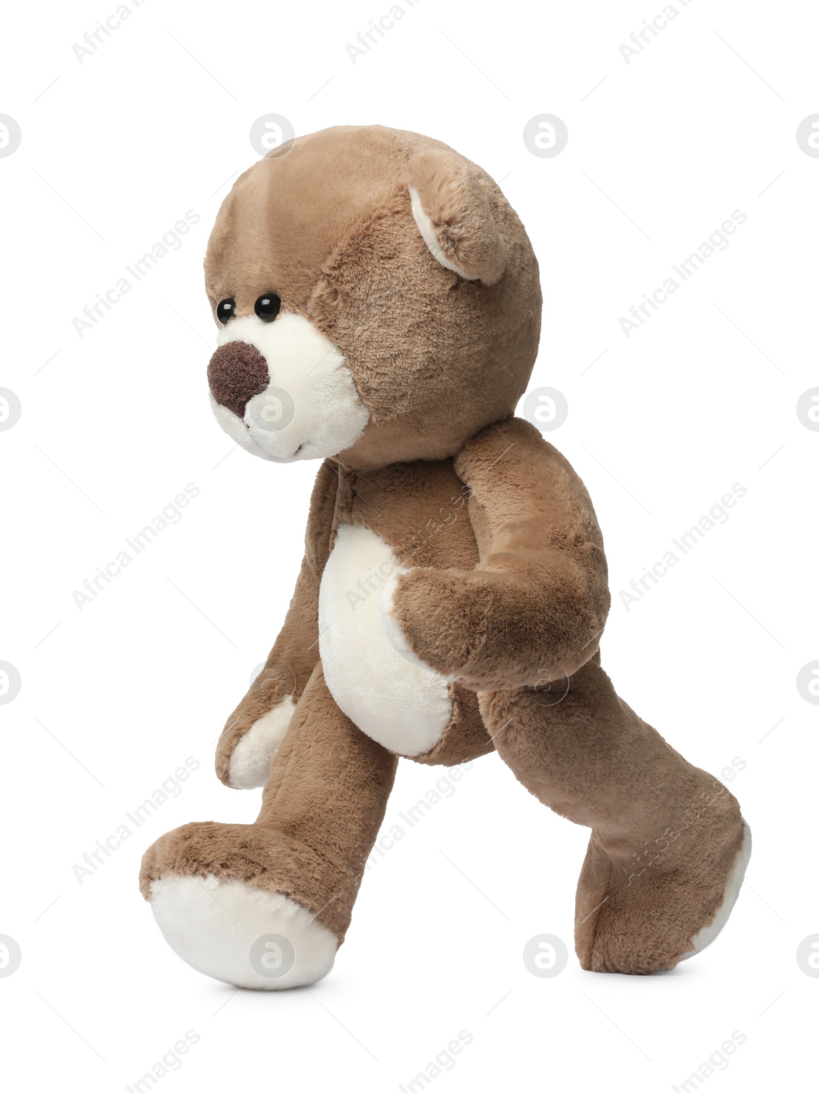 Photo of Cute teddy bear walking on white background