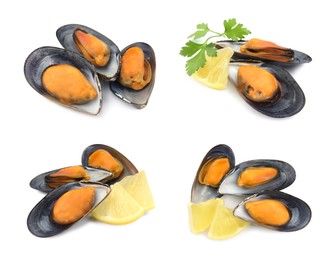 Image of Set with tasty cooked mussels on white background 