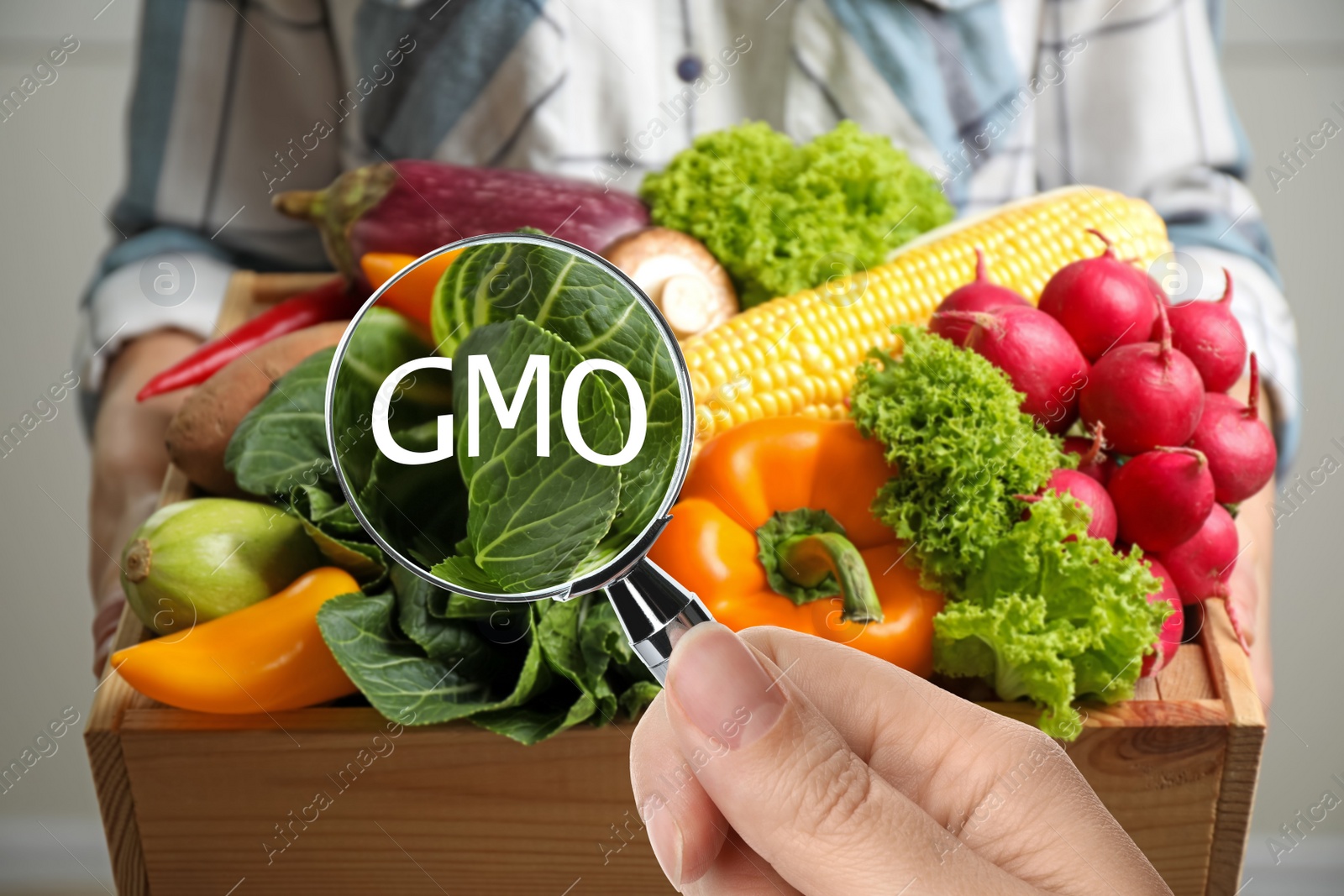 Image of View through magnifying glass on fresh vegetables. GMO concept