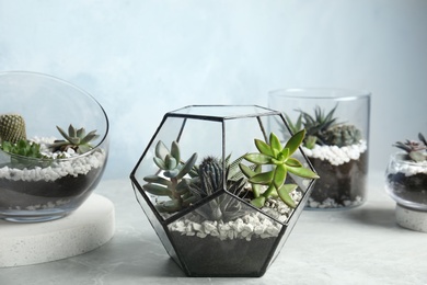 Photo of Glass florariums with different succulents on table
