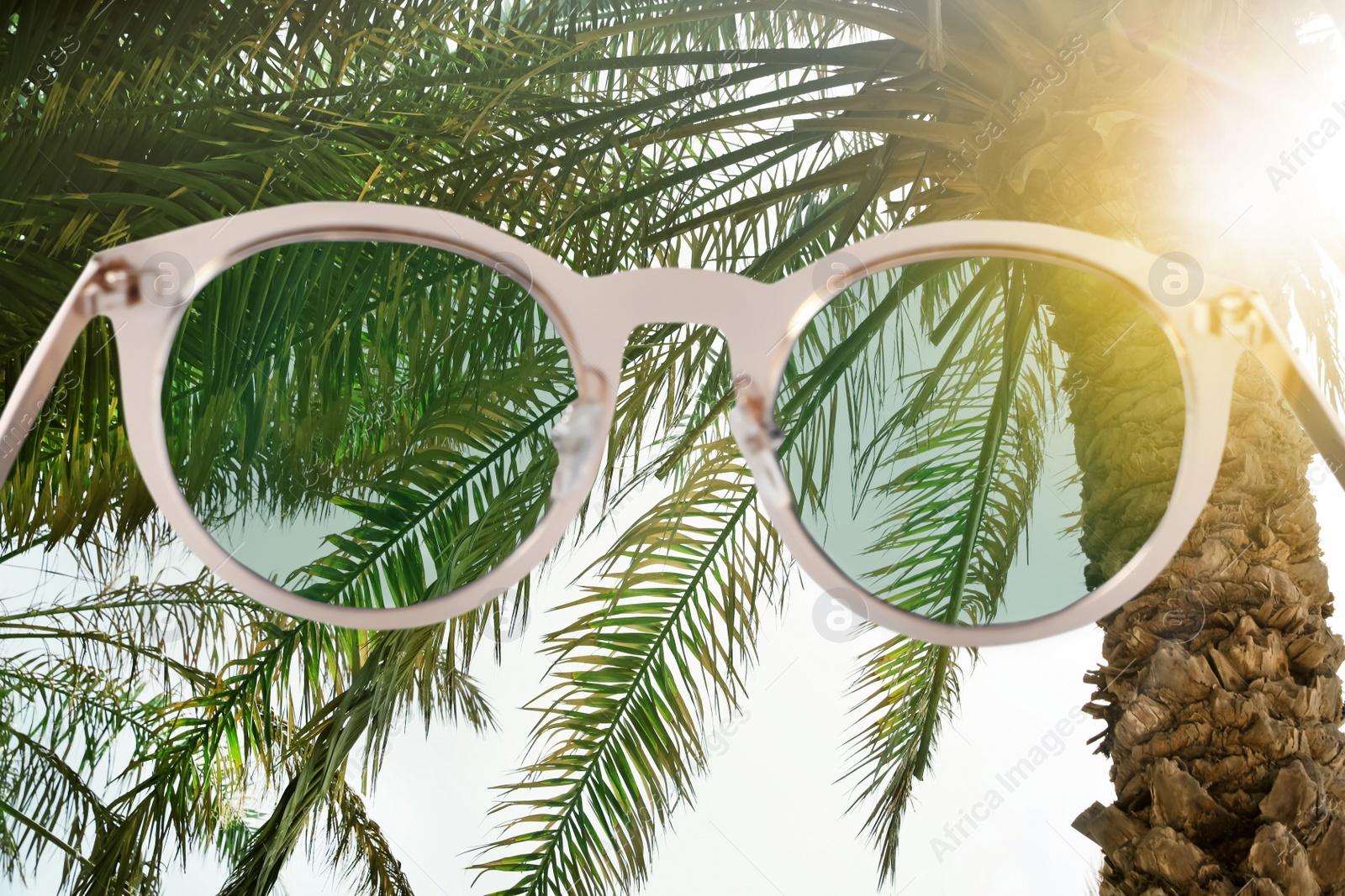 Image of Palms with lush green foliage on sunny day, view through sunglasses