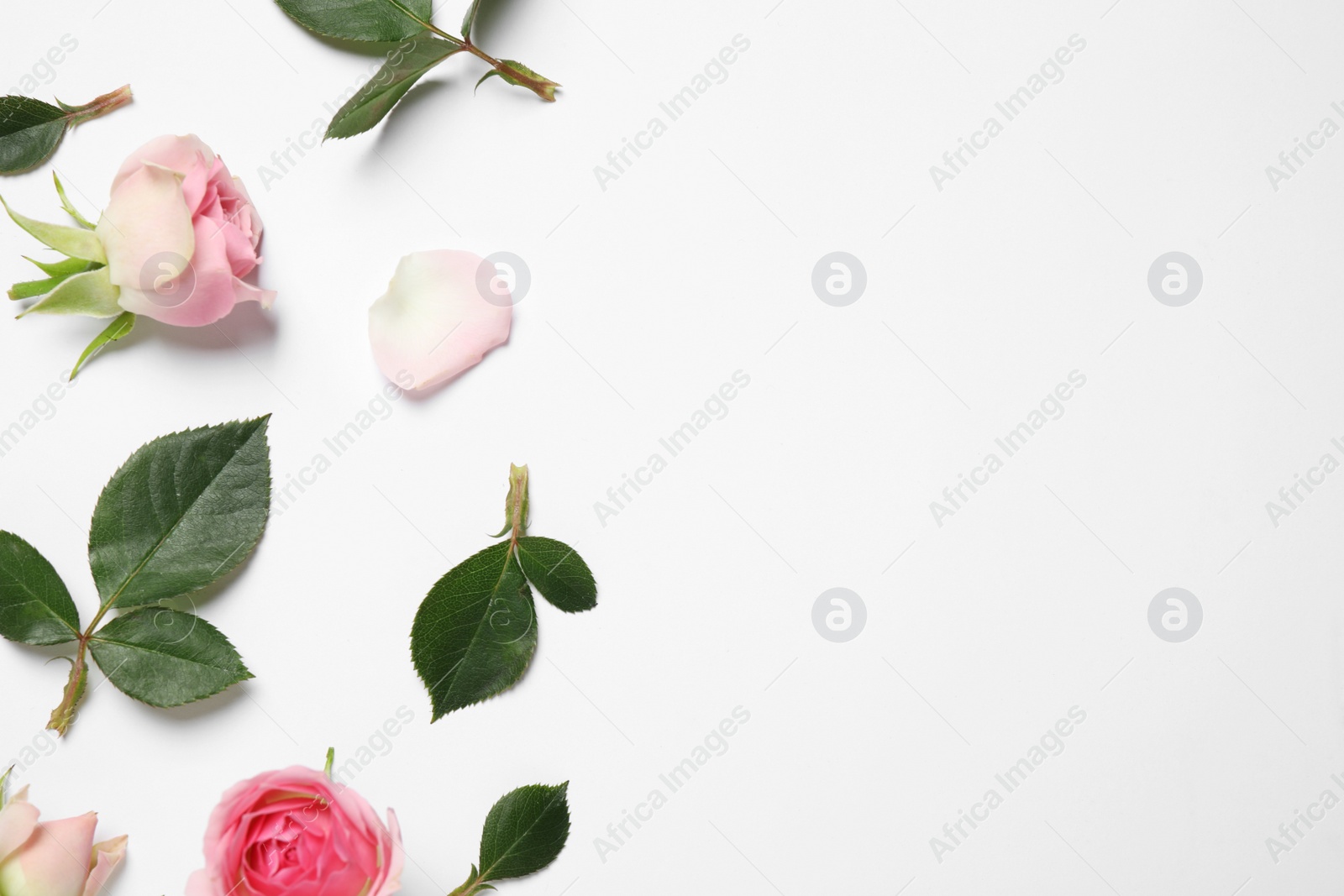 Photo of Composition with beautiful flowers on white background, top view. Floral card design