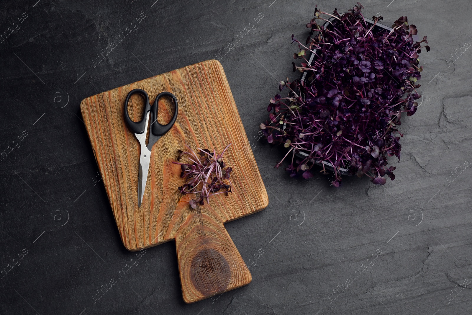 Photo of Fresh radish microgreens, wooden board and scissors on black table, flat lay