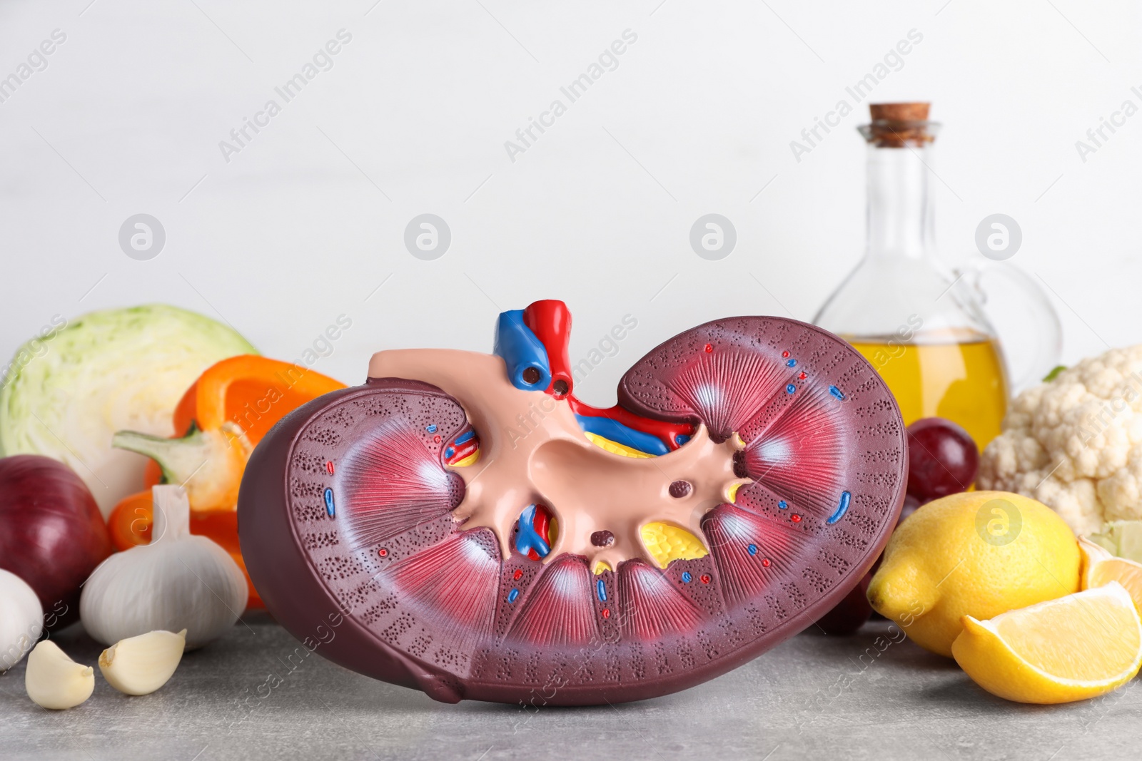 Photo of Composition with kidney model and different products on grey table against white background