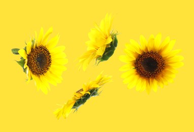 Image of Bright sunflowers in air on golden background