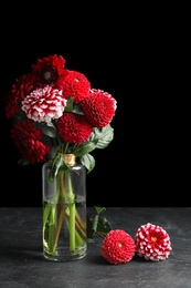 Photo of Beautiful dahlia flowers in vase on table against black background