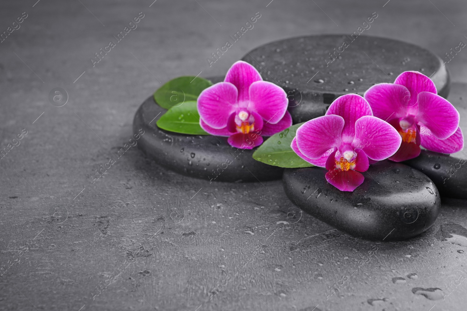 Photo of Wet spa stones and orchid flowers on grey background