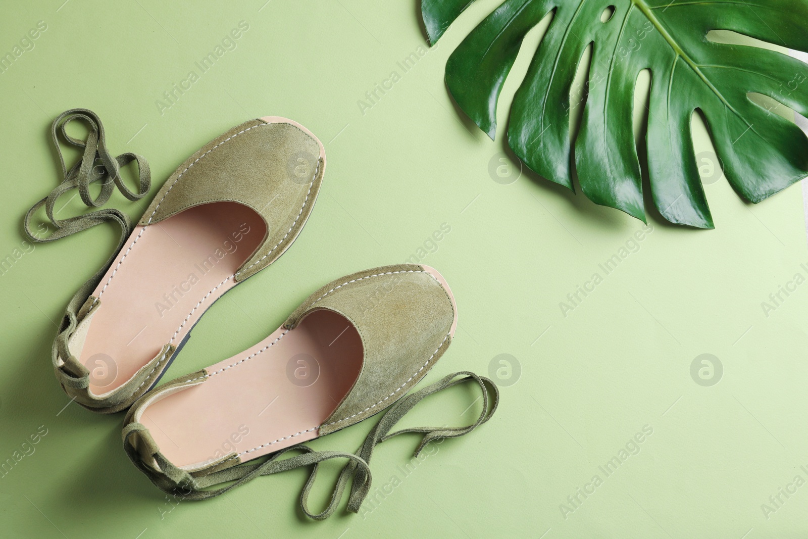 Photo of Pair of trendy women's shoes and tropical leaf on color background