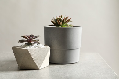 Beautiful succulent plants in stylish flowerpots on table against light background, space for text. Home decor