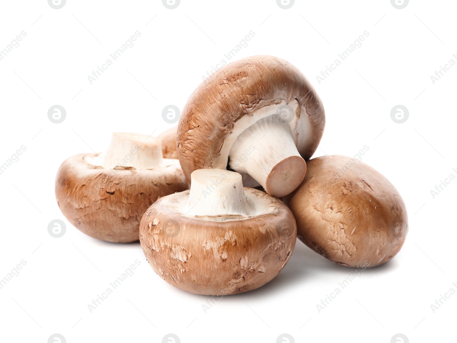 Photo of Fresh champignon mushrooms isolated on white. Healthy food