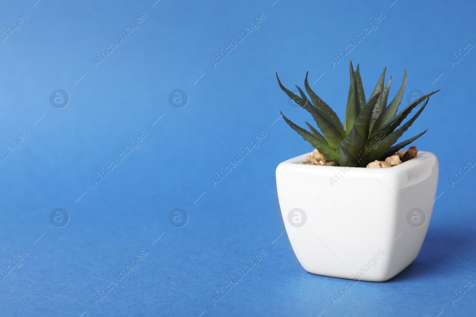 Photo of Beautiful artificial plant in flower pot on blue background, space for text