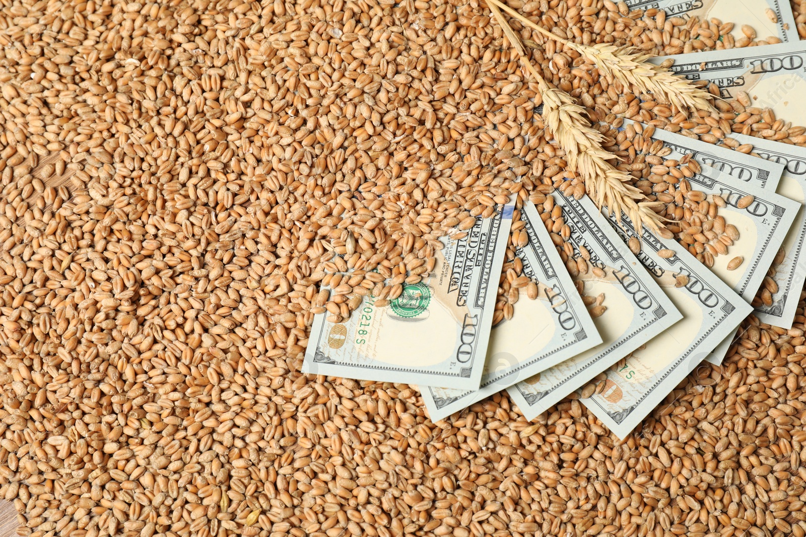 Photo of Dollar banknotes and wheat ears on grains, top view. Agricultural business