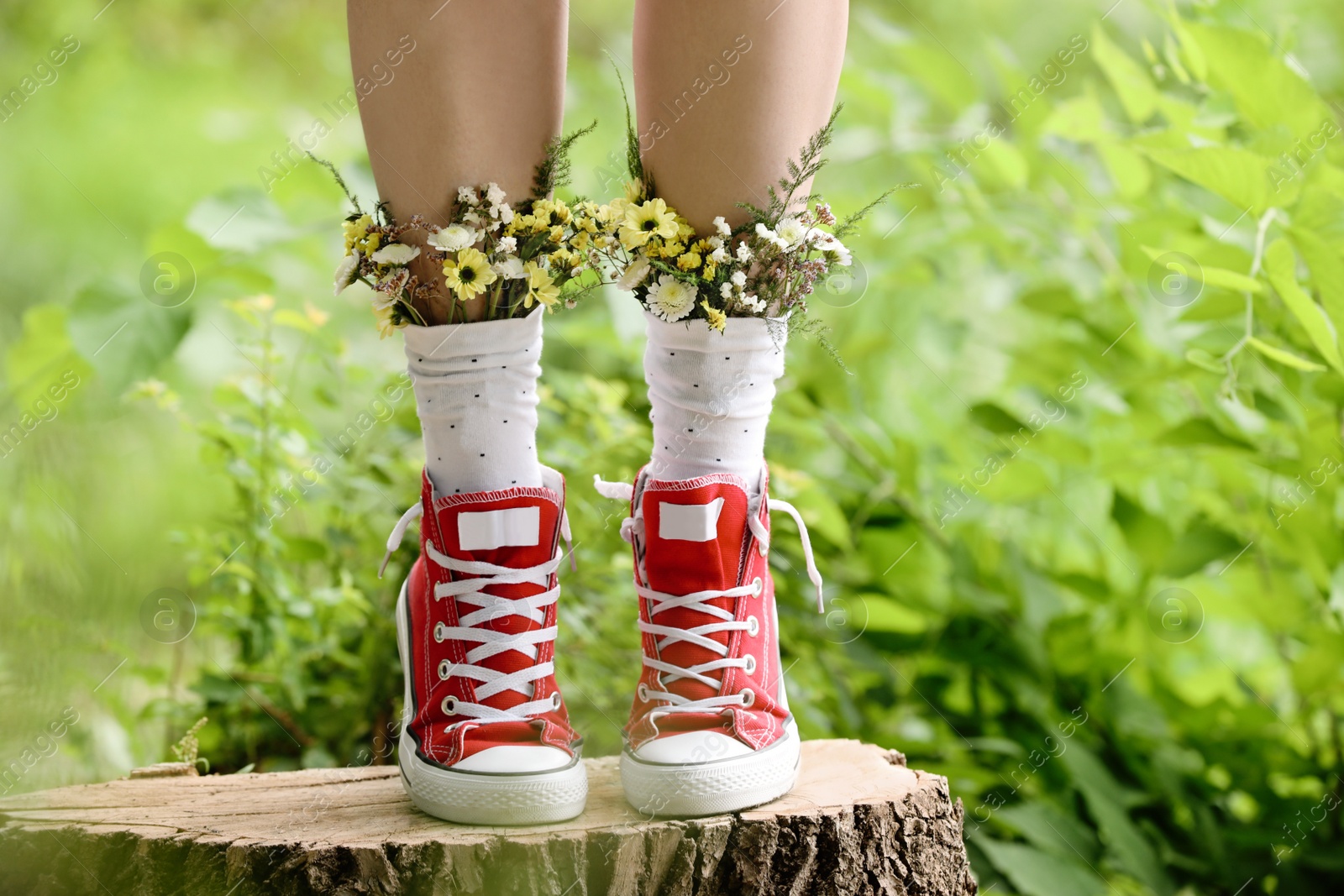 Photo of Woman standing on stump with flowers in socks outdoors, closeup