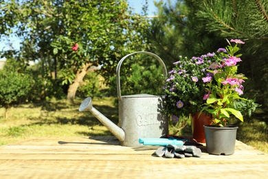 Potted flowers and gardening tools on table outdoors