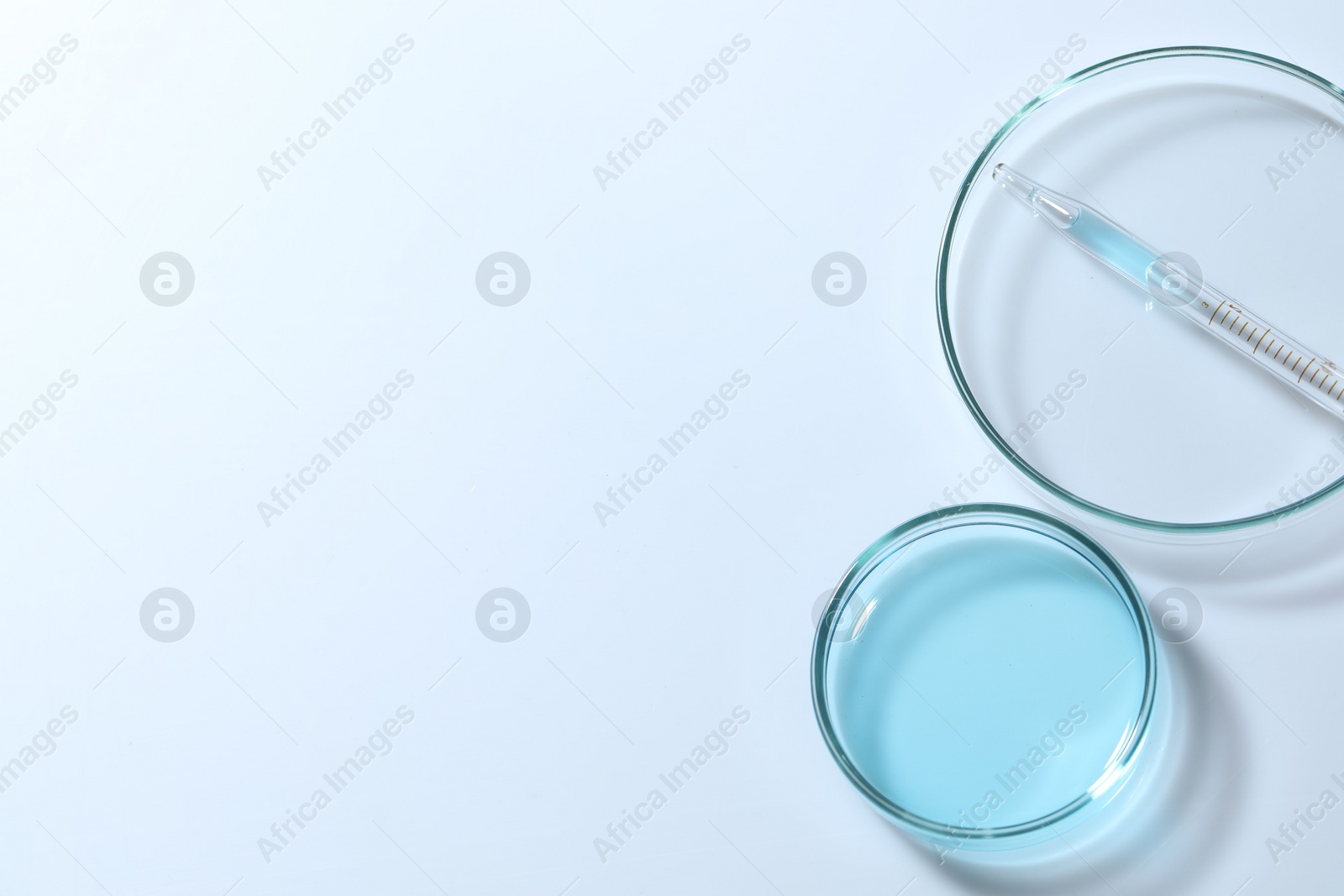 Photo of Pipette and petri dishes with liquid on white table, flat lay. Space for text