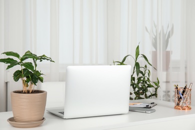 Photo of Houseplants and laptop on table in office interior, space for text