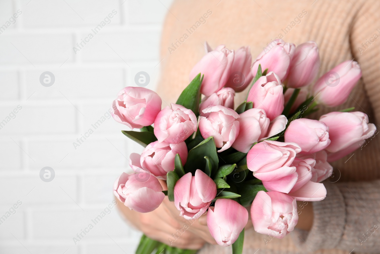 Photo of Woman with beautiful pink spring tulips near white brick wall, closeup